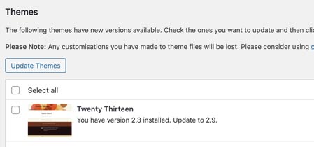WordPress theme update