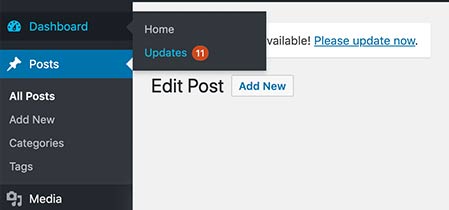 WordPress updates